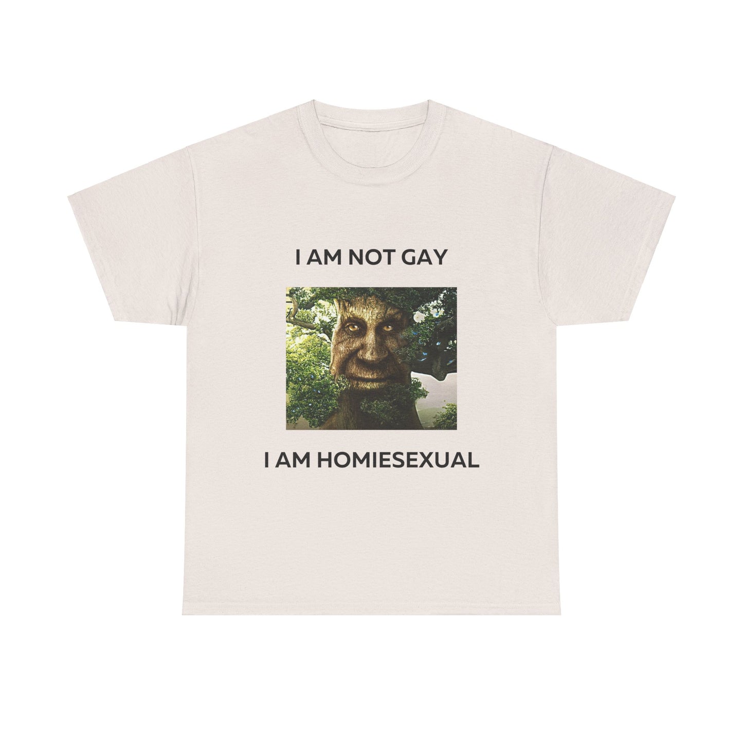 I Am Not Gay I am Homiesexual T-Shirt