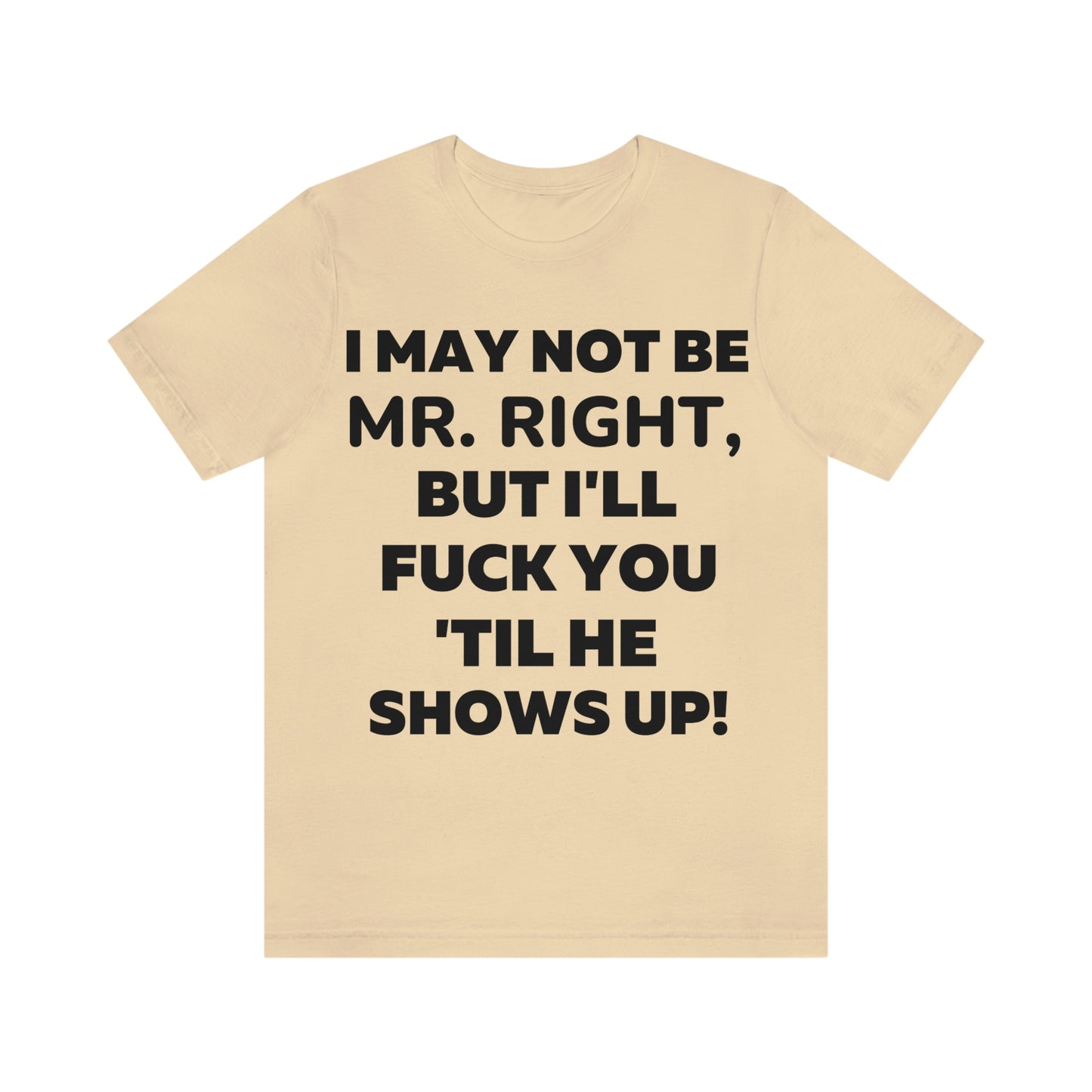 I May Not Be Mr. Right But I'll Fuck You Till He Shows Up T-Shirt